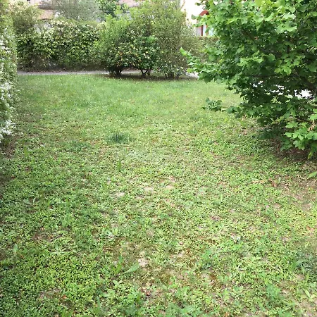 Venice Molino Appartement